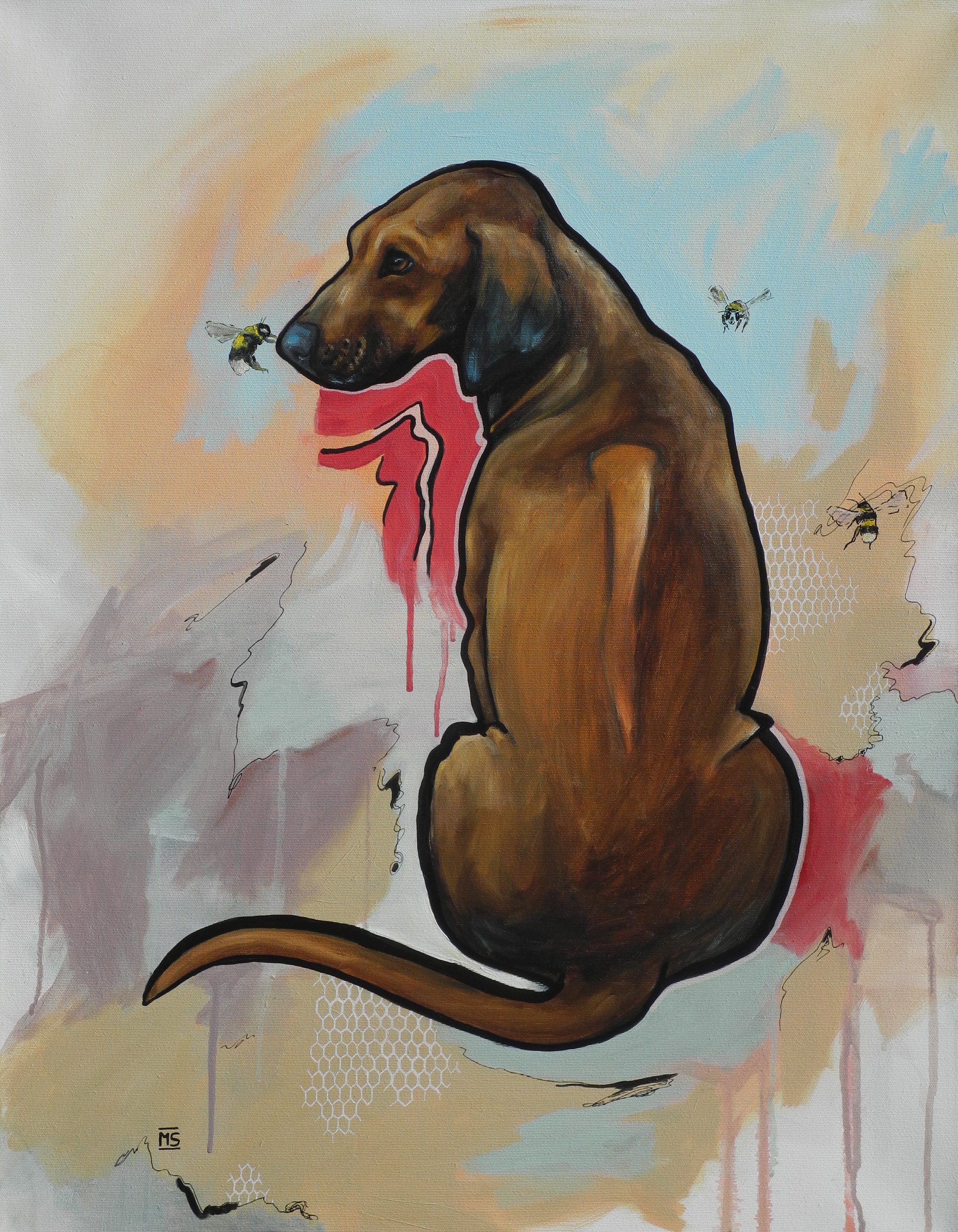 Ridgeback und Hummel von Symalla, Marit